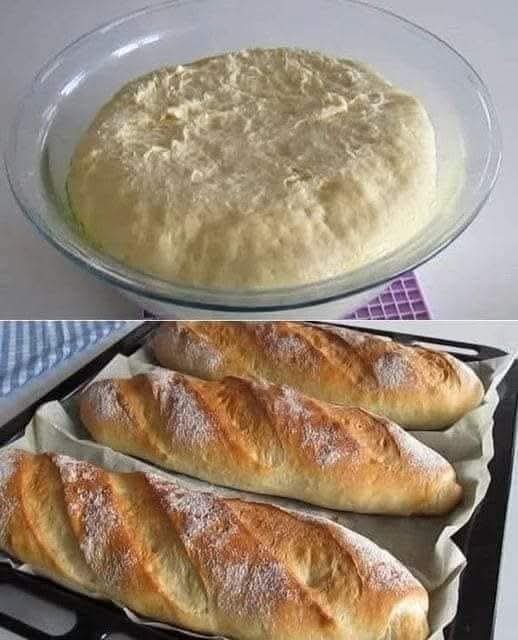 FB_IMG_1764912274127