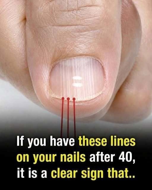 813804643_28614722131547039_6543310680635530809_n