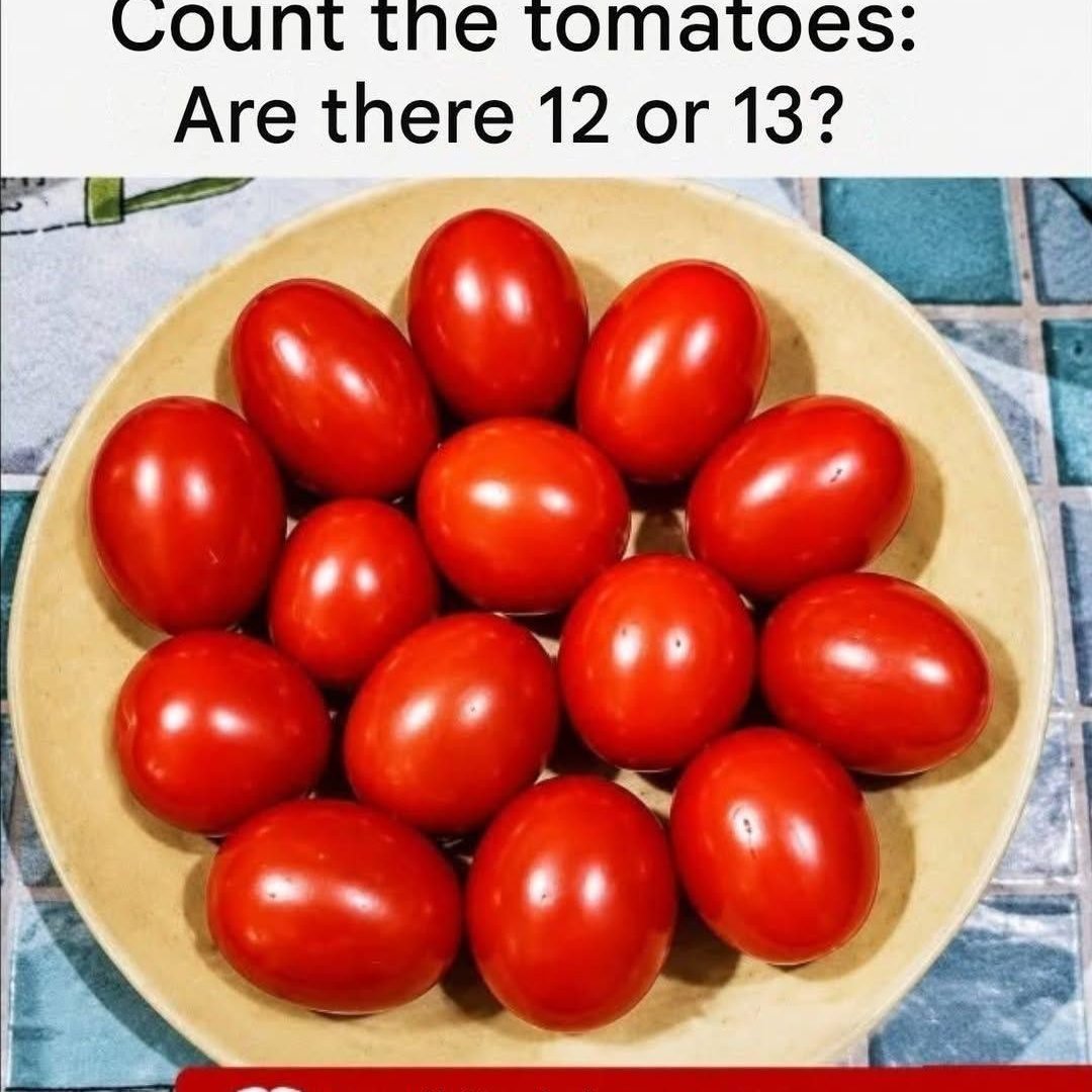 Eye Test: Count the Tomatoes—Are There 12 or 13? 814769098_4206928669605523_3982627205947508494_n