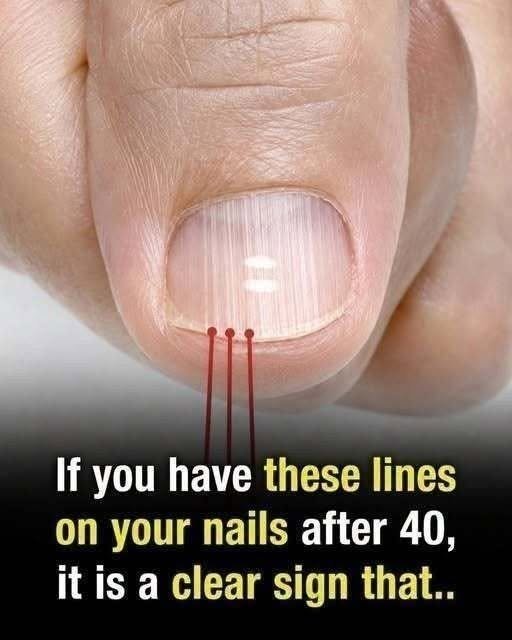818297719_2115500906063861_3686936204703353926_n