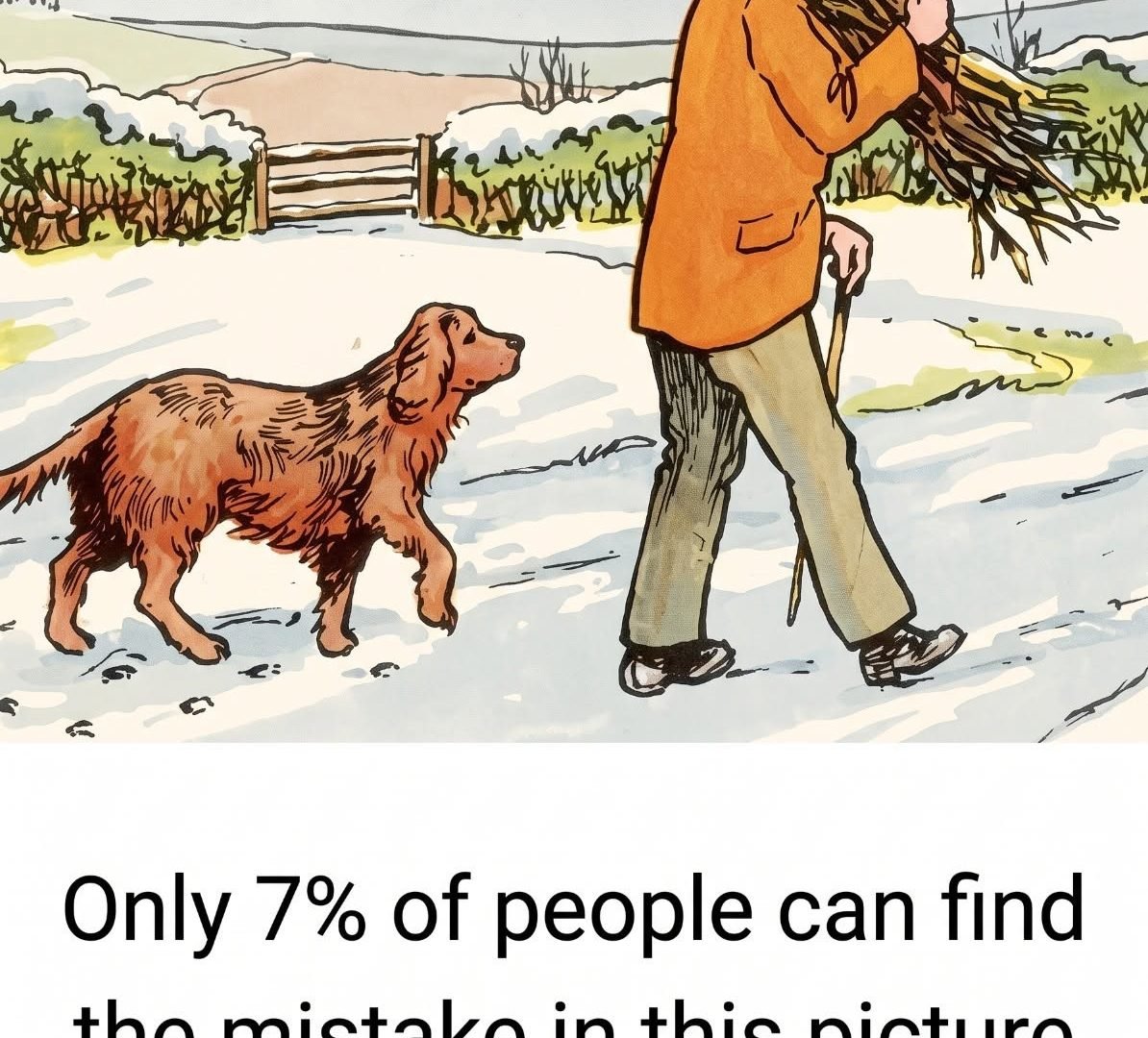 Only 7% of People Can Find the Mistake in This Picture 818972328_1804207867256749_6115587001407926468_n