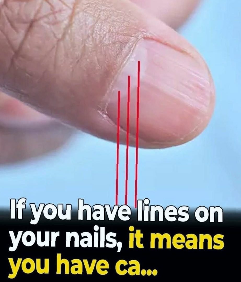 828840402_2113440712611030_4349528204017822296_n