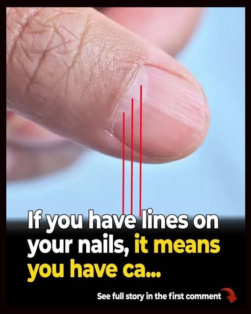 825351159_1695109602149271_7039551791577580312_n
