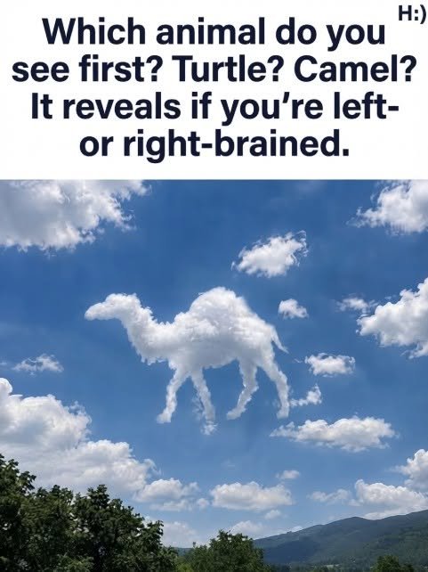 Turtle or Camel? What You See First Might Reveal Your Thinking Style 831705148_122243756504525159_5975767739538347606_n