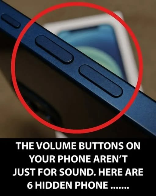 833347173_1129459986418883_2881650555522176765_n