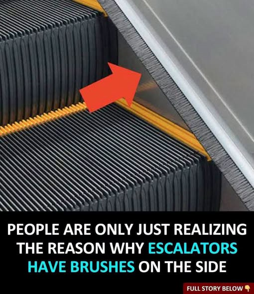 836459715_1752868932674358_3239892751062356503_n