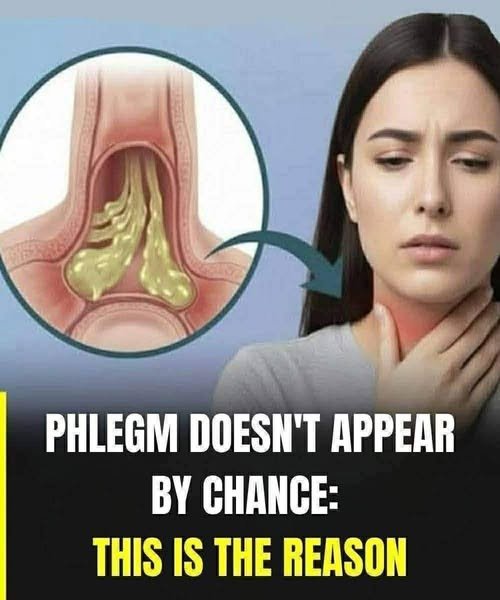 Phlegm Doesn't Appear by Chance: This Is the Reason 839231764_122206475096796411_382845424089453283_n