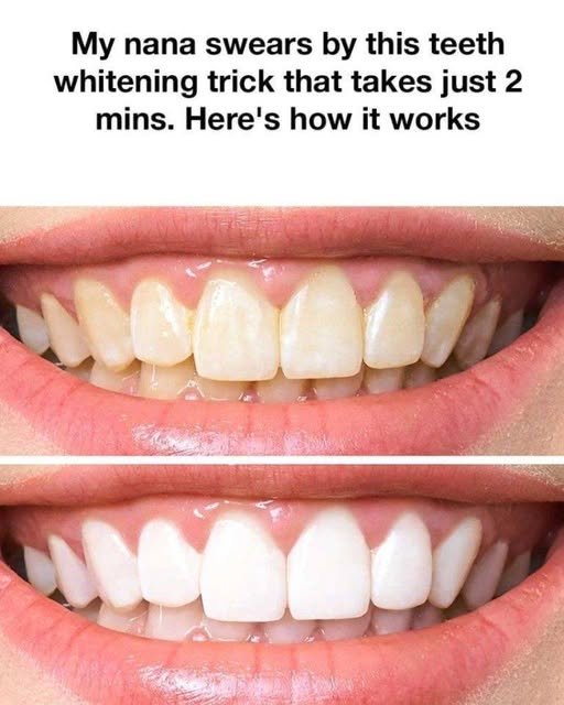 840094631_122234975636544559_7653600384462866092_n