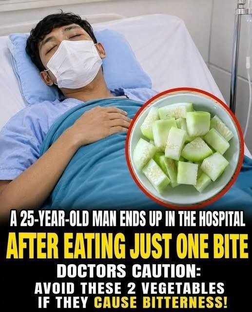 844977933_122102779328536113_4525071990680538726_n