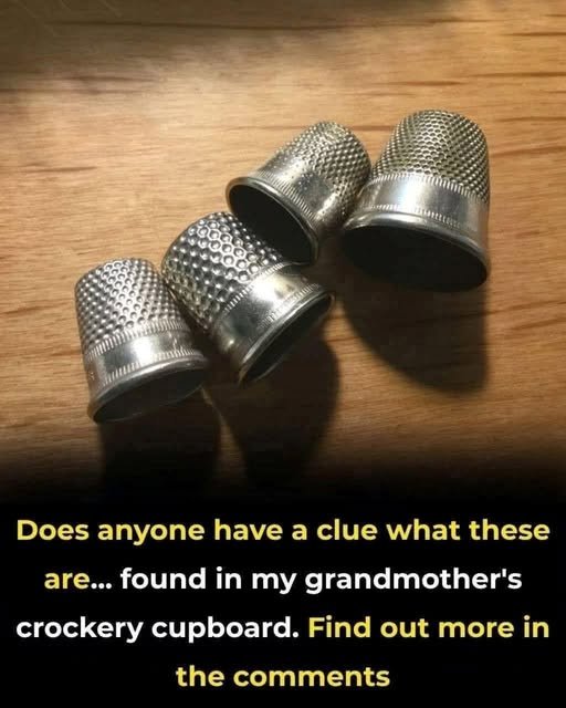 847594108_1097310012783746_3642894028893490506_n