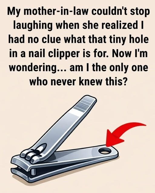 : The Hidden Purpose of the Tiny Hole in Your Nail Clipper (And Why You Probably Never Knew It) 857344849_122237798840935684_303029467961519854_n