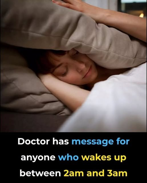 857445659_1103183112611335_4454721050027896069_n