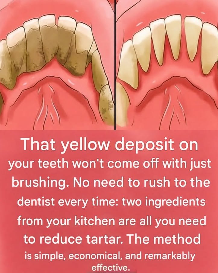 866338952_122104614999518316_6535134992091074833_n