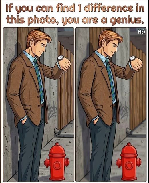876440737_1752111075878612_4654056578060267352_n